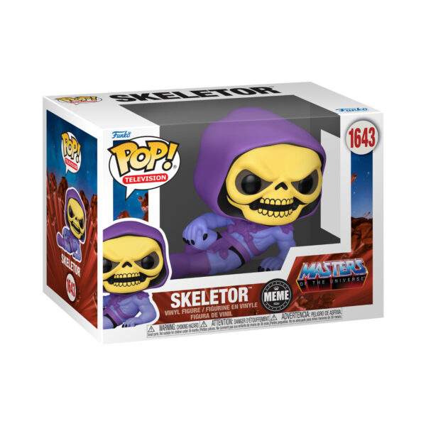 Front view of the Skeletor Facts Meme Funko Pop Vinyl Figure, packaged in its window display box.